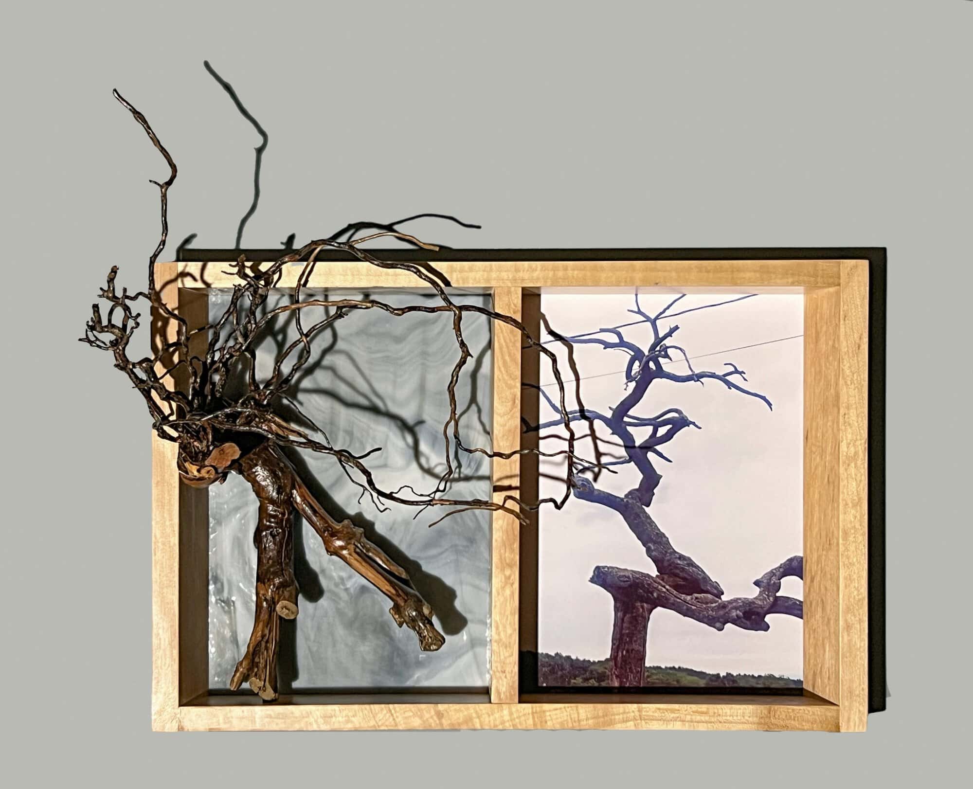 Gnarly Tree – 2021, photo, stained glass, found and reused wood, 16 x 20 x 7 inches